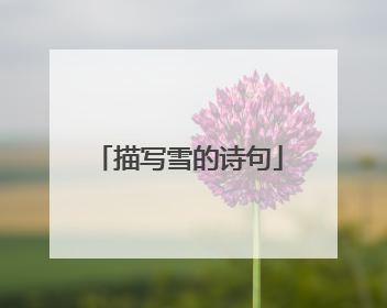 描写雪的诗句