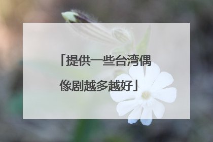 提供一些台湾偶像剧越多越好