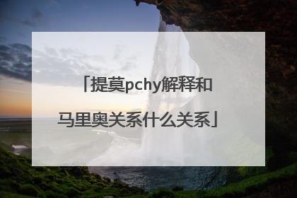 提莫pchy解释和马里奥关系什么关系