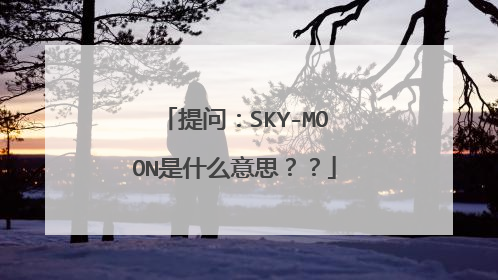 提问：SKY-MOON是什么意思？？