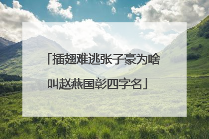 插翅难逃张子豪为啥叫赵燕国彰四字名