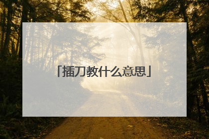 插刀教什么意思