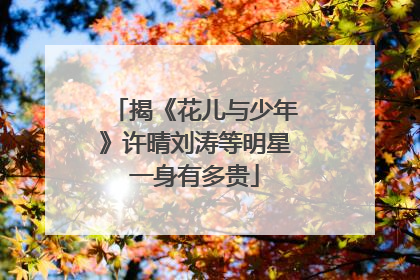 揭《花儿与少年》许晴刘涛等明星一身有多贵