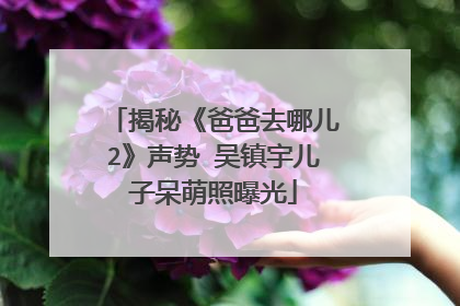 揭秘《爸爸去哪儿2》声势 吴镇宇儿子呆萌照曝光