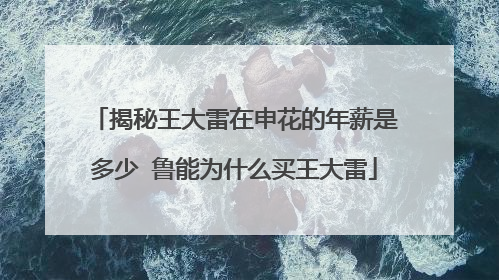 揭秘王大雷在申花的年薪是多少 鲁能为什么买王大雷