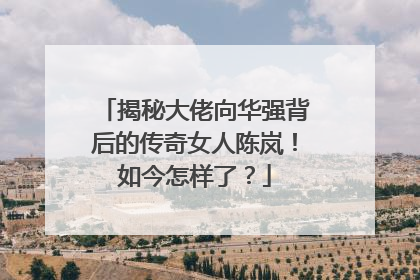 揭秘大佬向华强背后的传奇女人陈岚！如今怎样了？