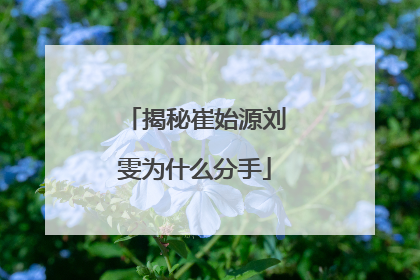 揭秘崔始源刘雯为什么分手