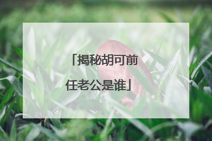 揭秘胡可前任老公是谁