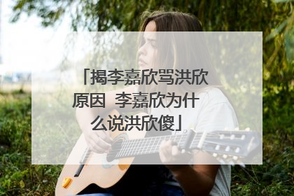 揭李嘉欣骂洪欣原因 李嘉欣为什么说洪欣傻