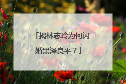 揭林志玲为何闪婚黑泽良平？