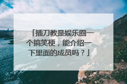 插刀教是娱乐圈一个搞笑梗，能介绍一下里面的成员吗？