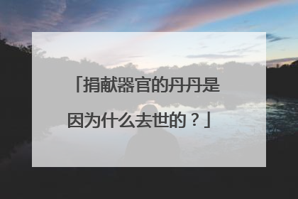 捐献器官的丹丹是因为什么去世的?