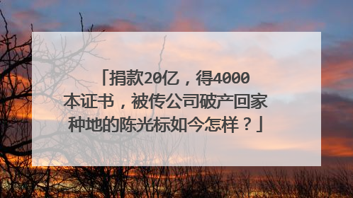 捐款20亿,得4000本证书,被传公司破产回家种地的陈光标如今怎样?