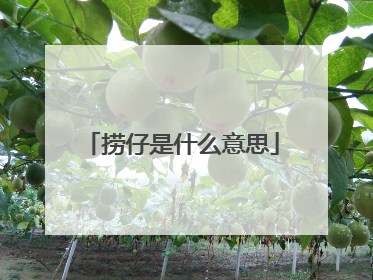 捞仔是什么意思