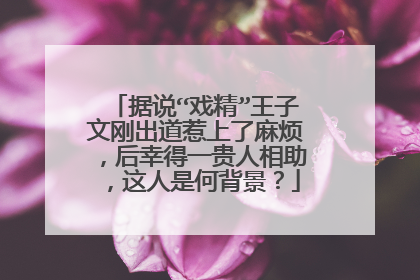 据说“戏精”王子文刚出道惹上了麻烦，后幸得一贵人相助，这人是何背景？