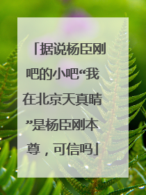 据说杨臣刚吧的小吧“我在北京天真晴”是杨臣刚本尊，可信吗