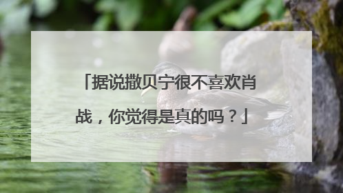 据说撒贝宁很不喜欢肖战，你觉得是真的吗？