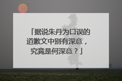 据说朱丹为口误的道歉文中别有深意，究竟是何深意？