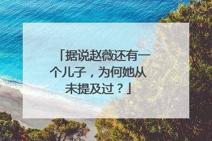 据说赵薇还有一个儿子，为何她从未提及过？