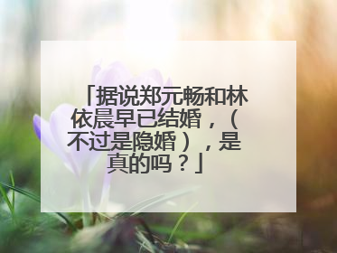 据说郑元畅和林依晨早已结婚，（不过是隐婚），是真的吗？