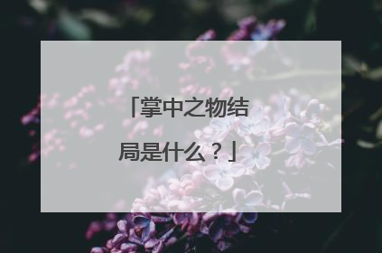 掌中之物结局是什么？