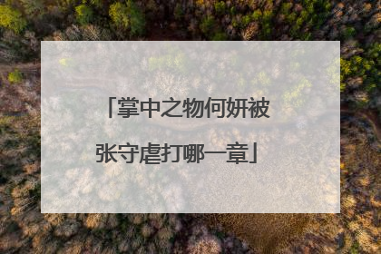 掌中之物何妍被张守虐打哪一章