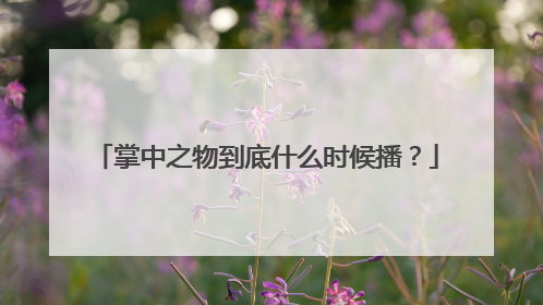 掌中之物到底什么时候播?