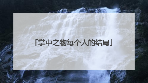 掌中之物每个人的结局