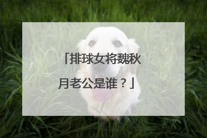 排球女将魏秋月老公是谁？