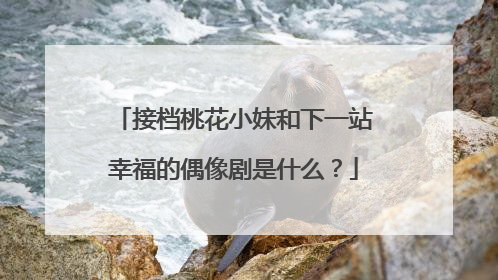 接档桃花小妹和下一站幸福的偶像剧是什么？