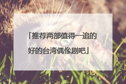 推荐两部值得一追的好的台湾偶像剧吧