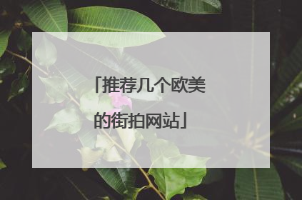 推荐几个欧美的街拍网站