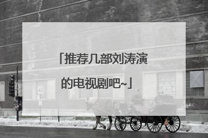 推荐几部刘涛演的电视剧吧~