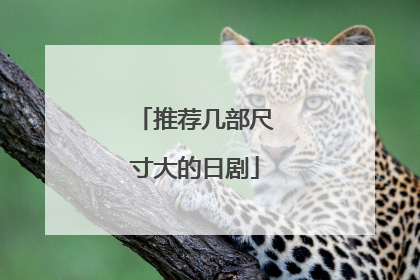 推荐几部尺寸大的日剧