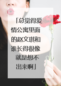 总觉得爱情公寓里面的赵文琪和谁长得很像 就是想不出来啊