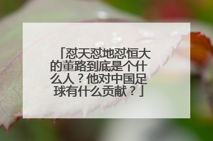 怼天怼地怼恒大的董路到底是个什么人?他对中国足球有什么贡献?