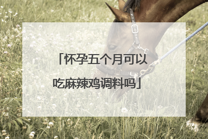 怀孕五个月可以吃麻辣鸡调料吗