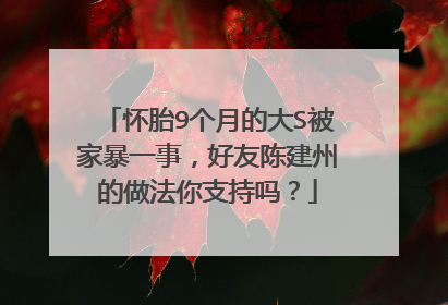 怀胎9个月的大S被家暴一事，好友陈建州的做法你支持吗？