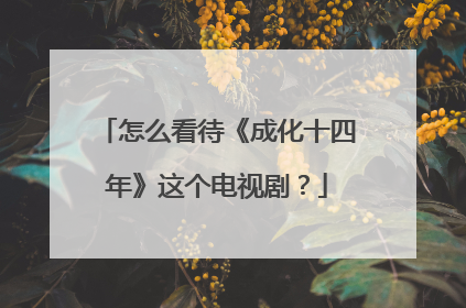 怎么看待《成化十四年》这个电视剧?