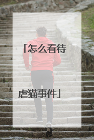 怎么看待虐猫事件