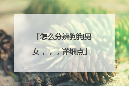 怎么分辨狗狗男女,,,详细点