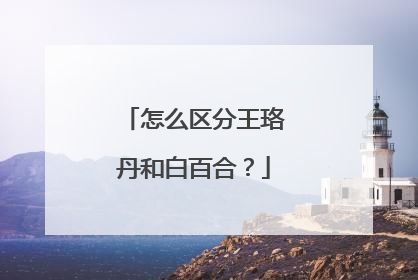 怎么区分王珞丹和白百合?