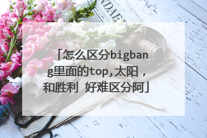 怎么区分bigbang里面的top,太阳，和胜利 好难区分阿