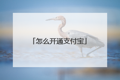 怎么开通支付宝