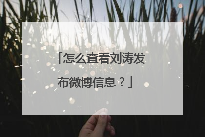 怎么查看刘涛发布微博信息？