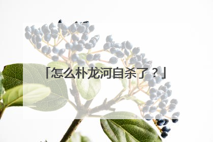 怎么朴龙河自杀了？