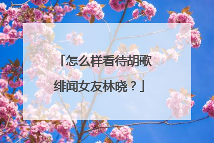 怎么样看待胡歌绯闻女友林晓?