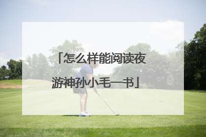 怎么样能阅读夜游神孙小毛一书