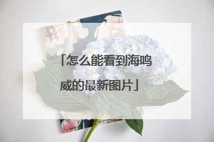 怎么能看到海鸣威的最新图片