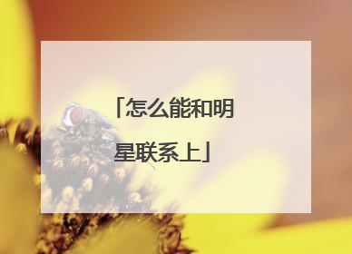 怎么能和明星联系上